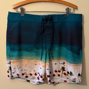 American Eagle Outfitters Teal and White Beach Swim Shorts